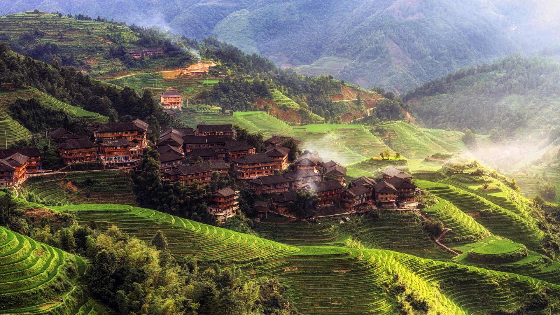 China Rice Fields - HD Wallpaper 