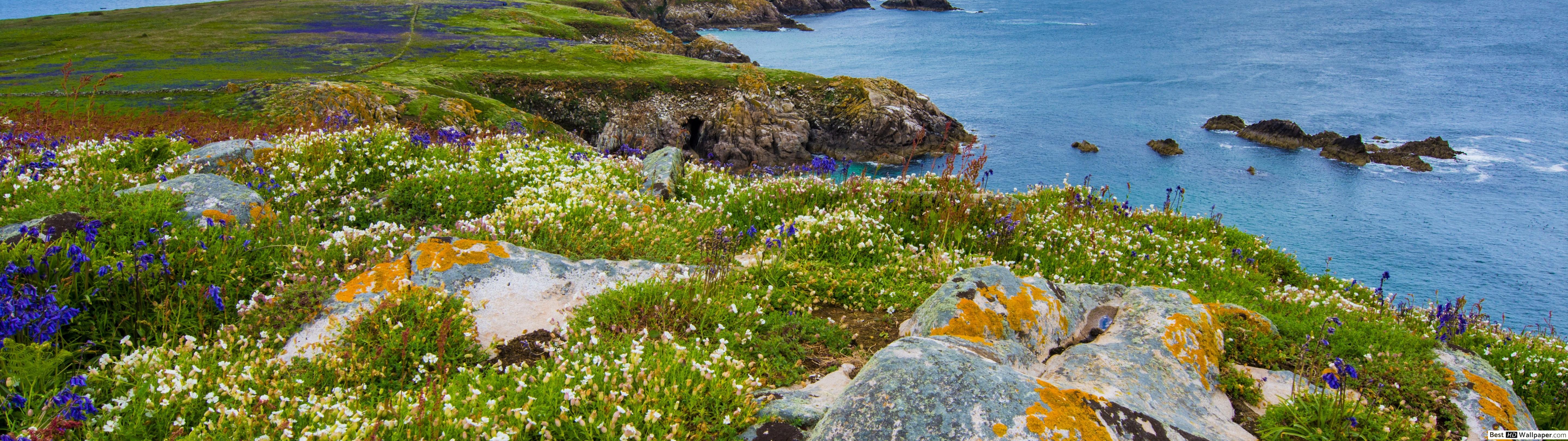 Coastal Biodiversity - HD Wallpaper 