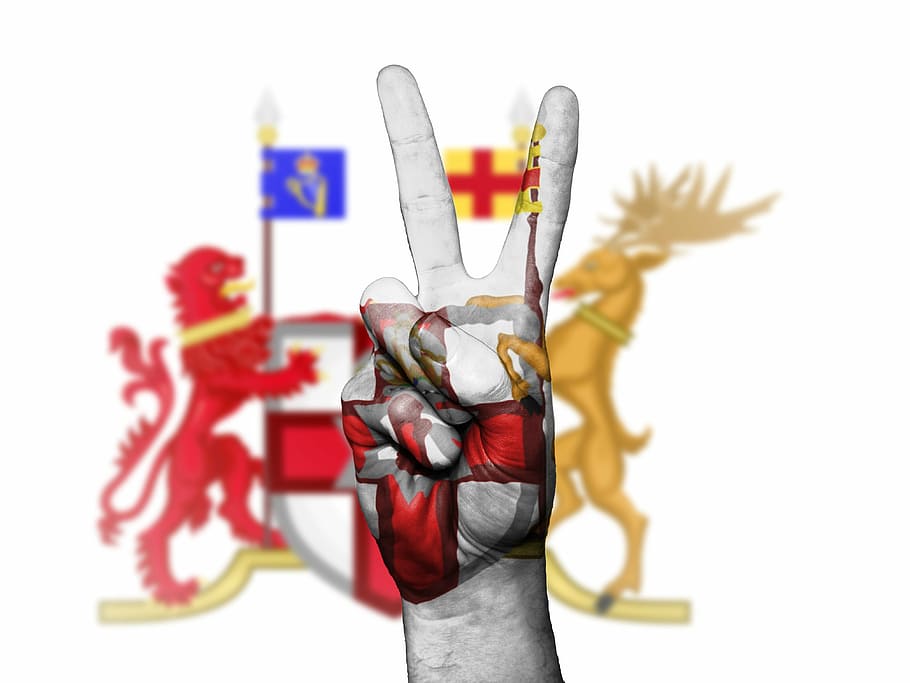 Northern Ireland, Coat Of Arms, Flag, Banner, Symbol, - National Symbol Of Northern Ireland - HD Wallpaper 