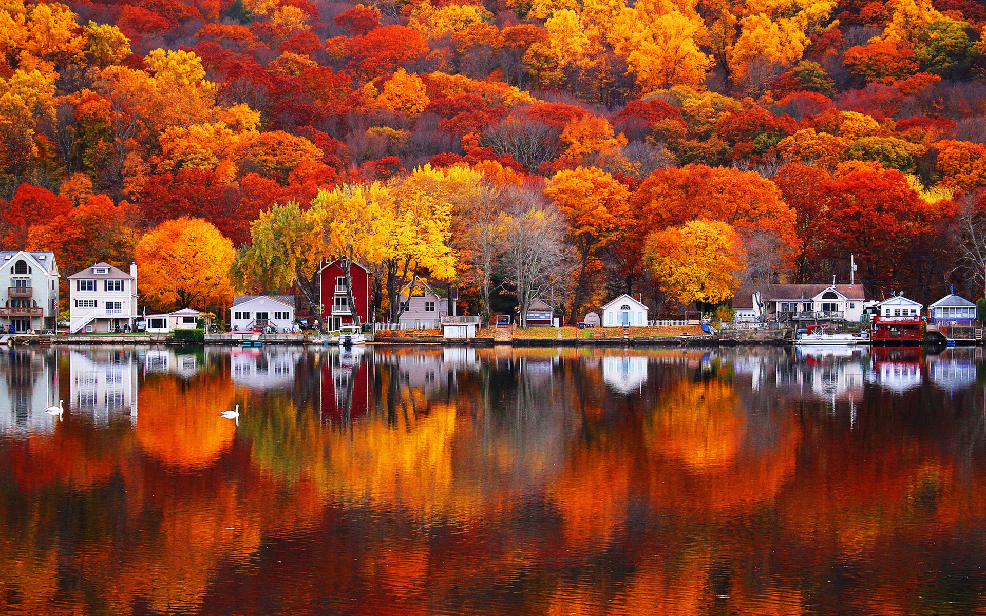 Wallpaper Autumn, Lake, Trees, Houses, Village, Beautiful - HD Wallpaper 