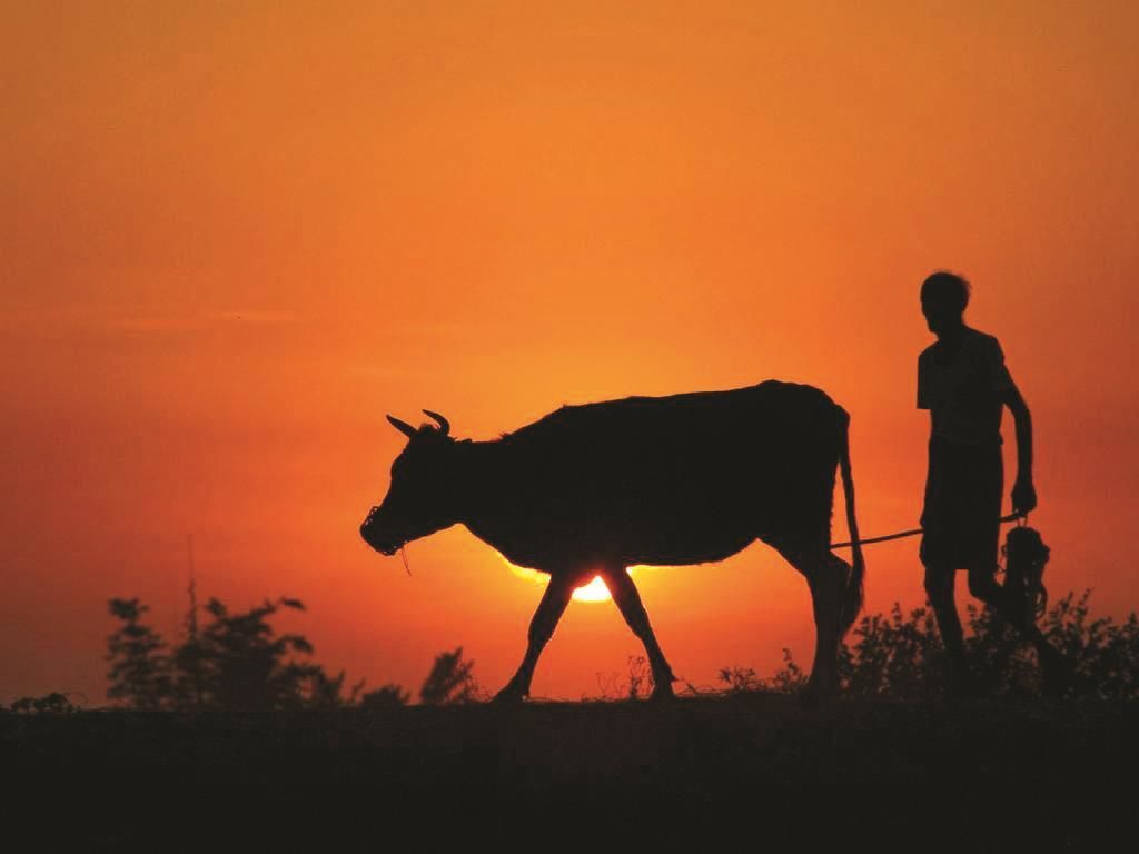 India’s Village Republics - Happy Farmers Day In Tamil - HD Wallpaper 