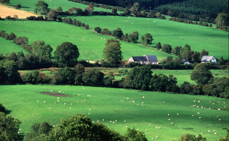 County Cork Ireland Hd Wallpaper Wp2403568 - Farms In County Cork Ireland - HD Wallpaper 