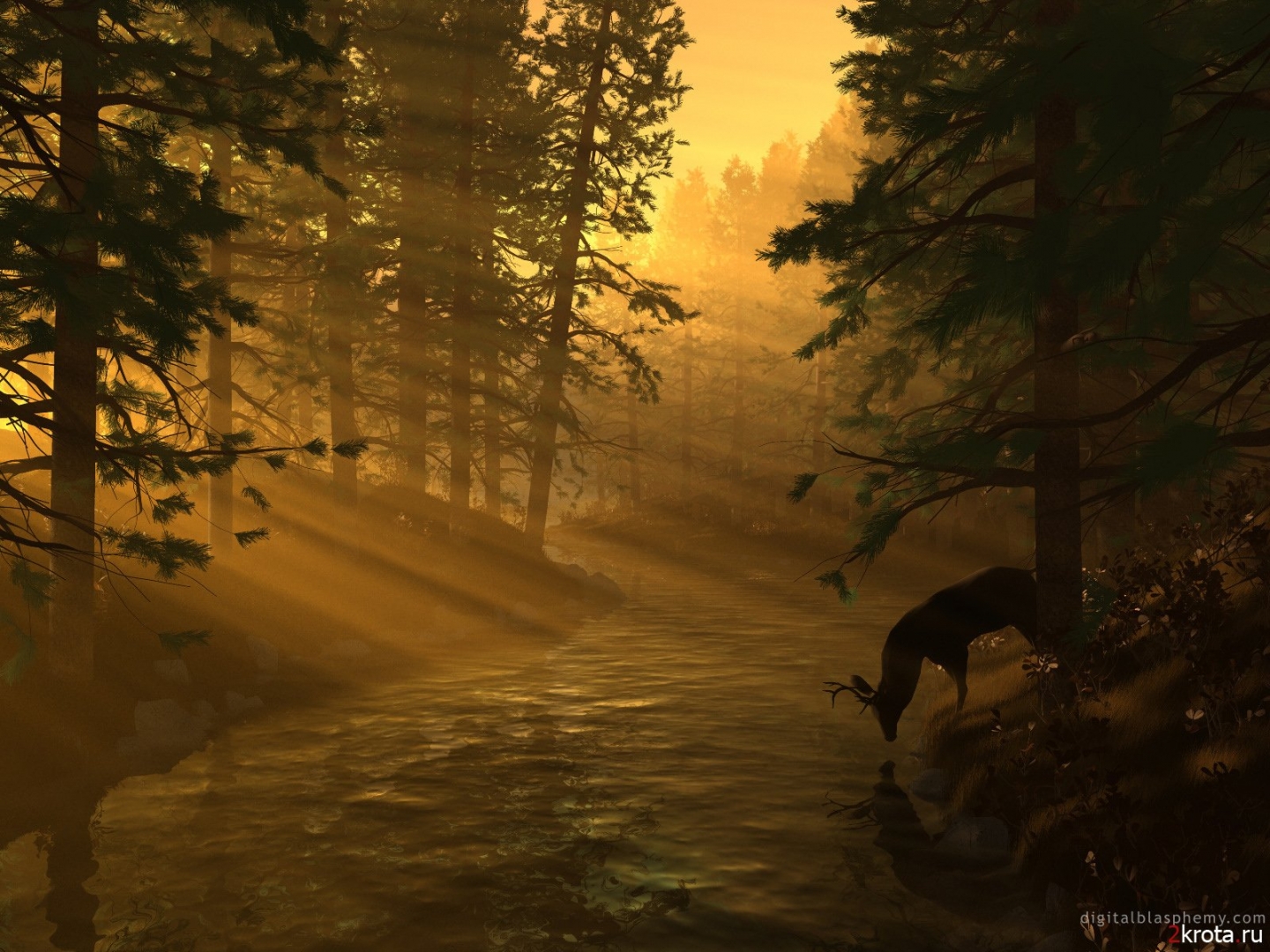 Natural Vegetation And Wildlife - HD Wallpaper 