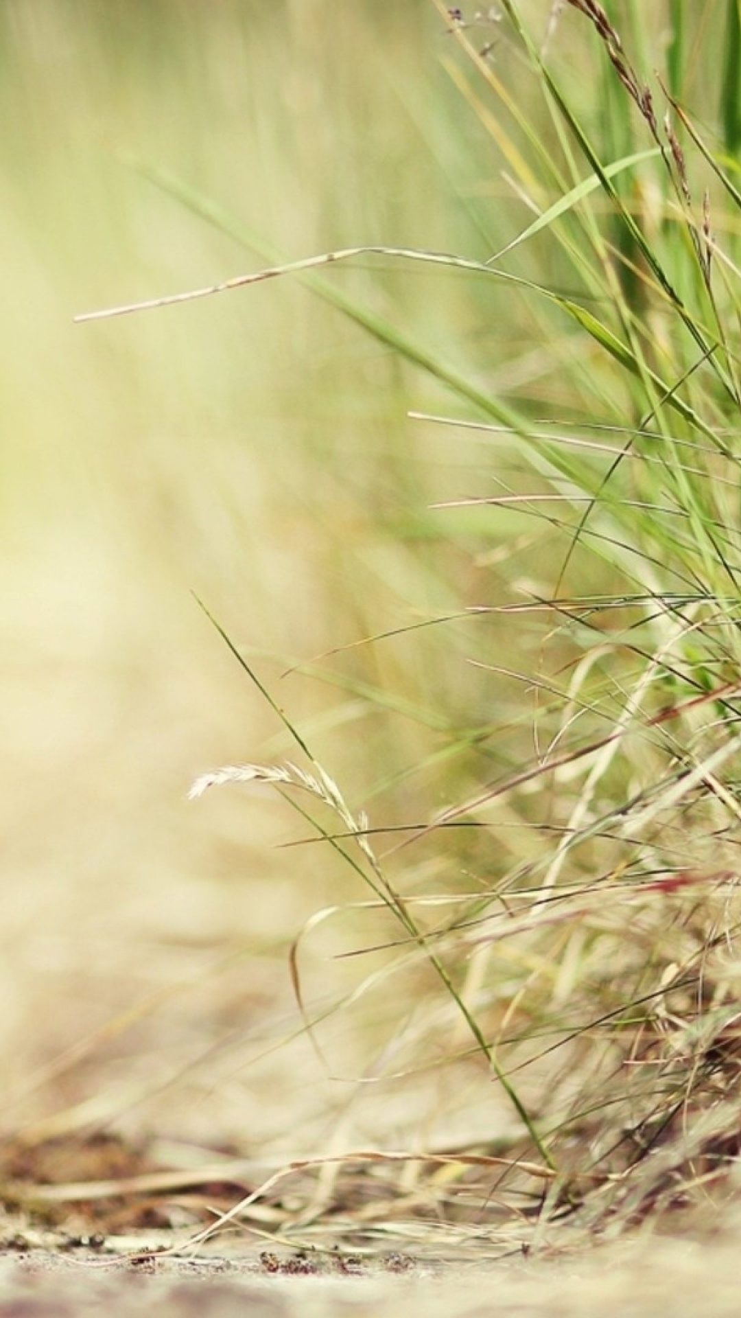 Cold Drinks Wallpaper Hd - HD Wallpaper 