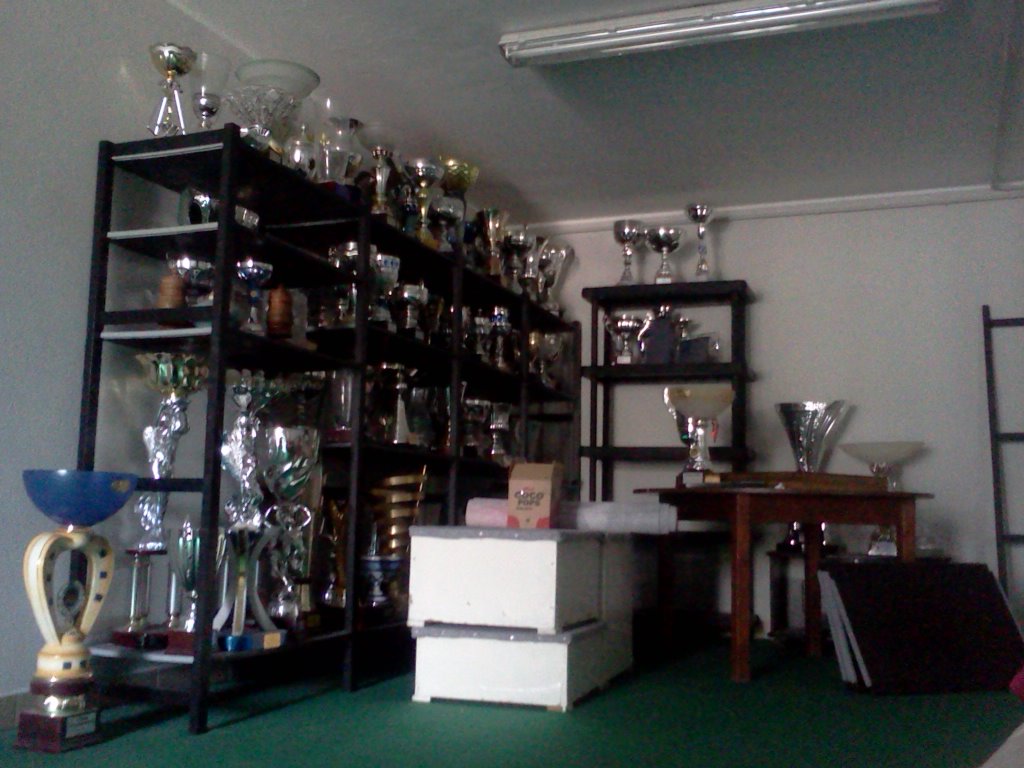 La Stanza Dei Trofei Nuoto<3 - Shelf - HD Wallpaper 