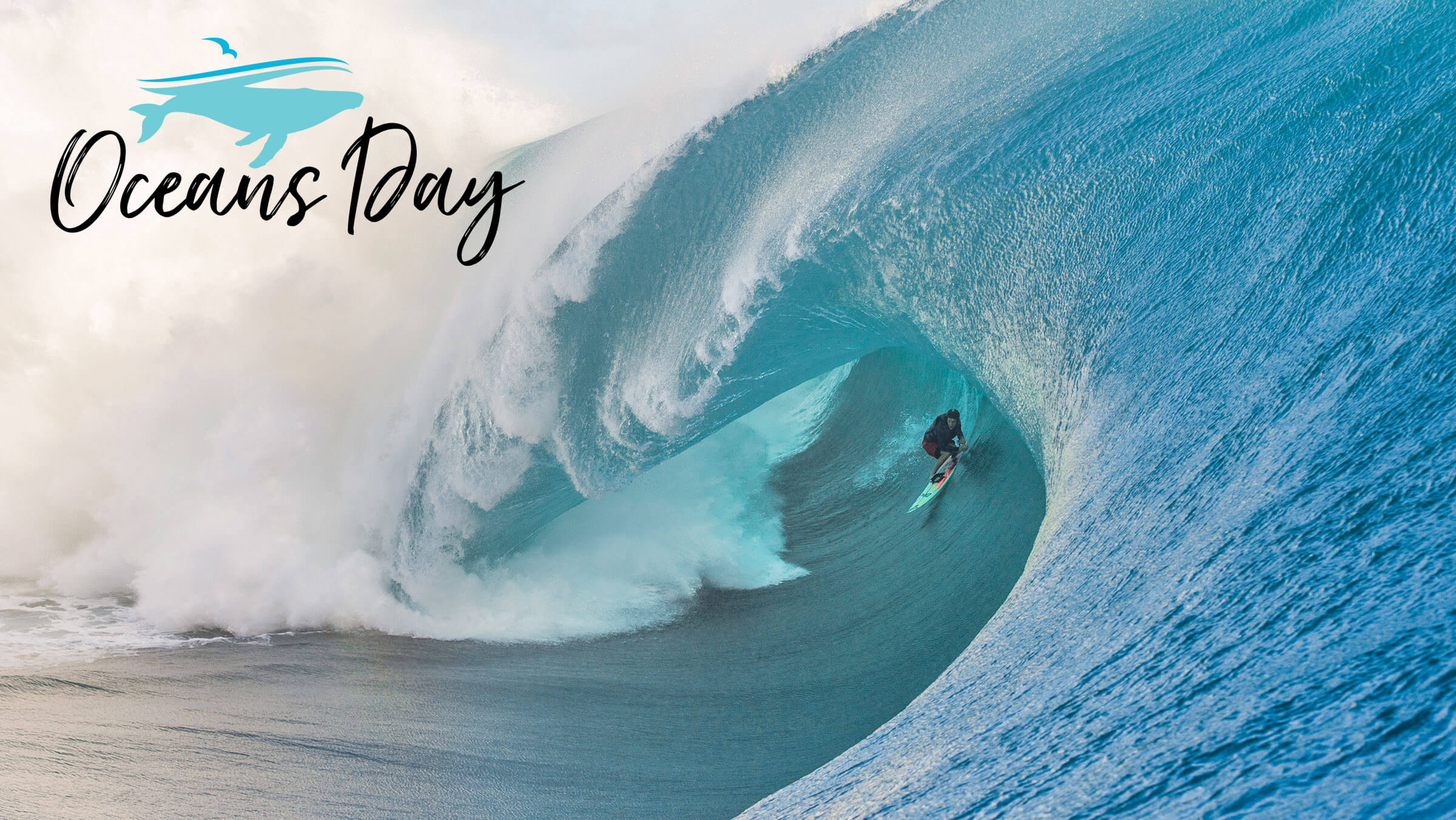 World Oceans Day Surfing - HD Wallpaper 
