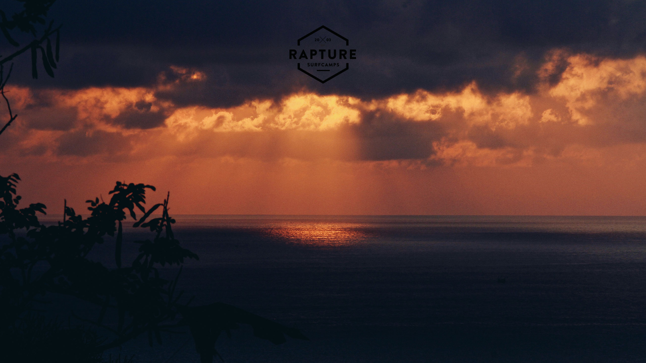 Rapture Surf Camp Background - HD Wallpaper 