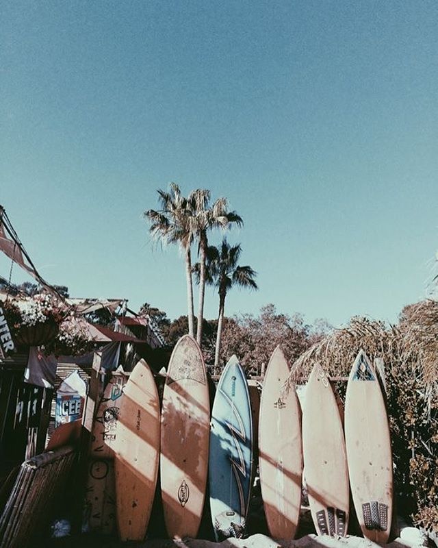 Windsurf California Love - Surfboard Wallpaper Iphone - HD Wallpaper 