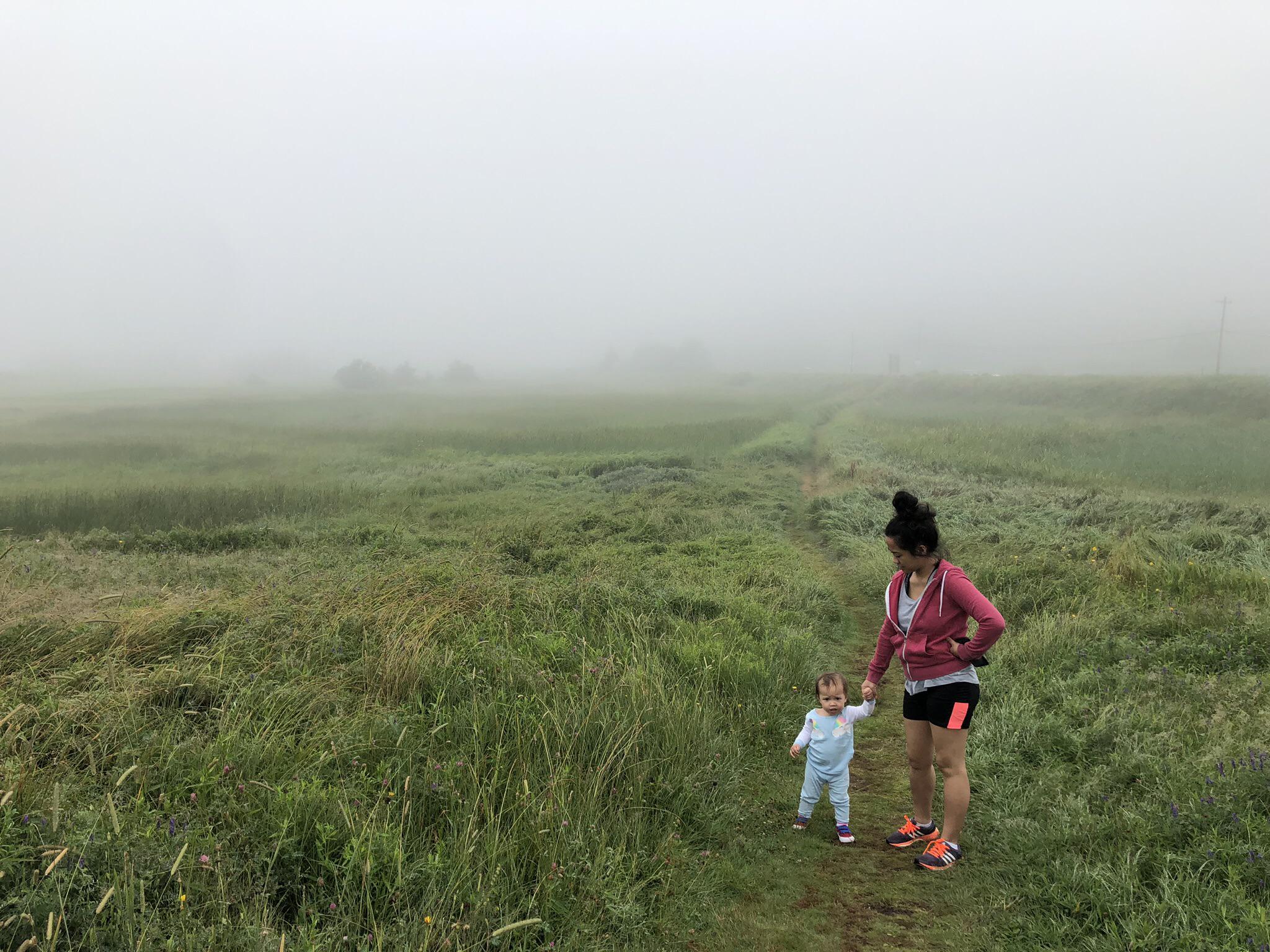 Grassland - HD Wallpaper 