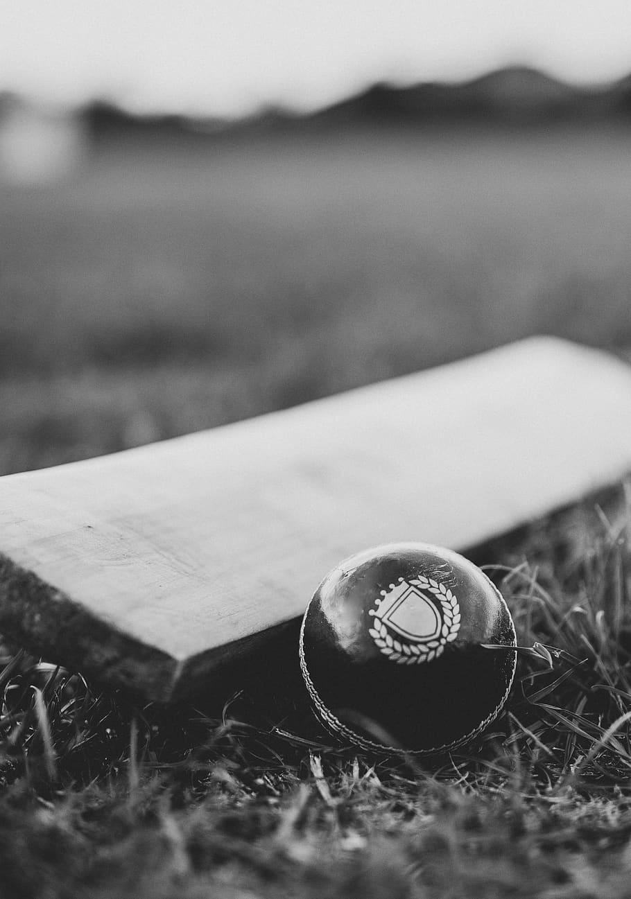 Grayscale Photo Of Cricket Ball And Bat On The Ground, - You Lose Experience Is The Reward - HD Wallpaper 