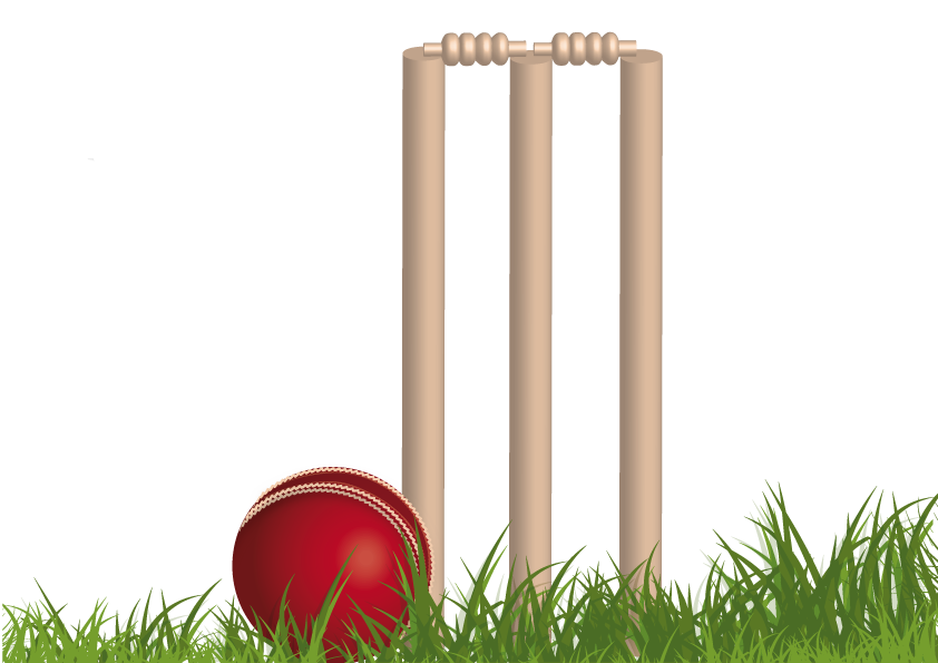 Cricket Png - Background Cricket Images Png - HD Wallpaper 