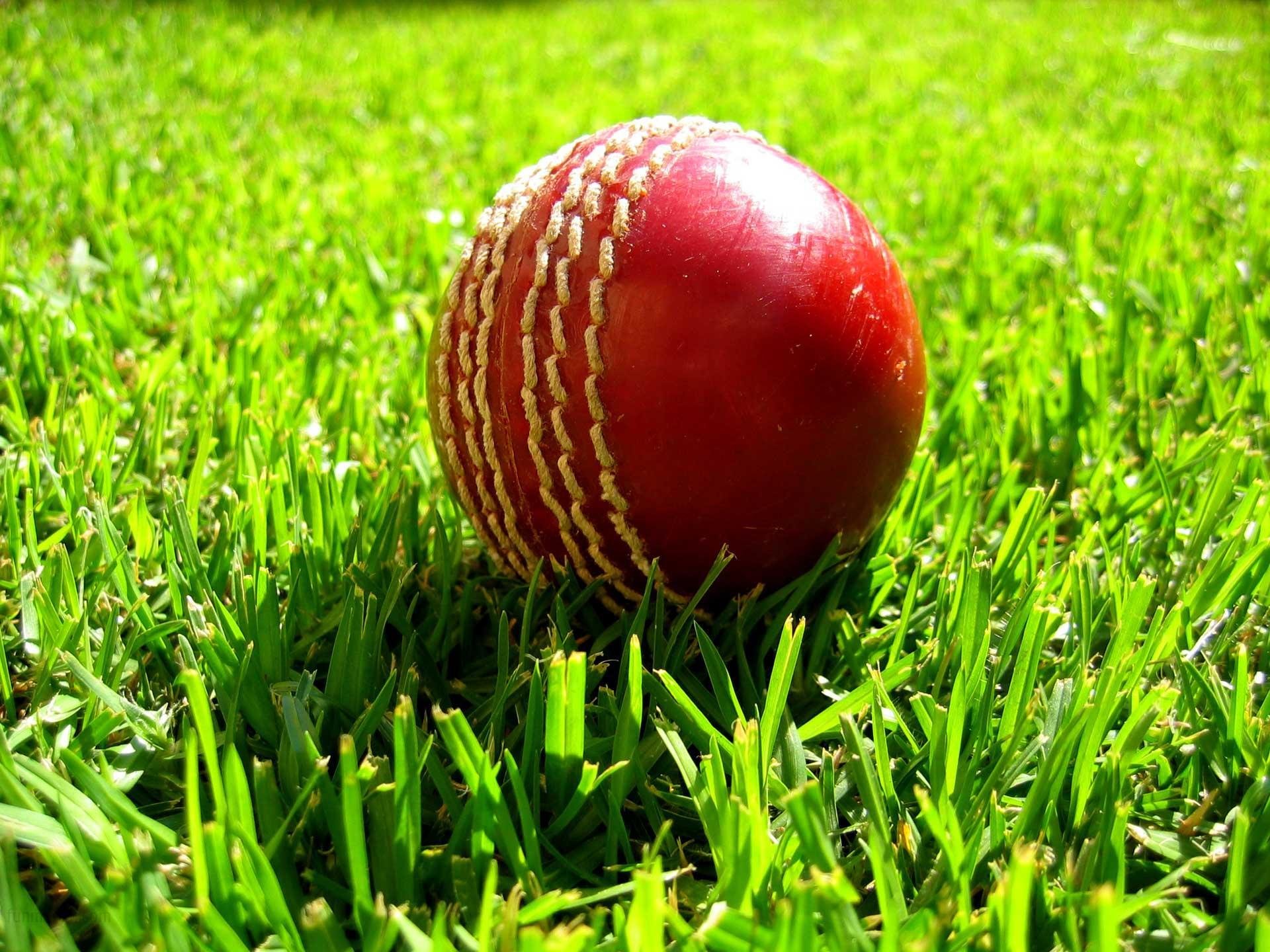 Free Download Cricket Wallpaper Id - Cricket Ball On Grass - HD Wallpaper 