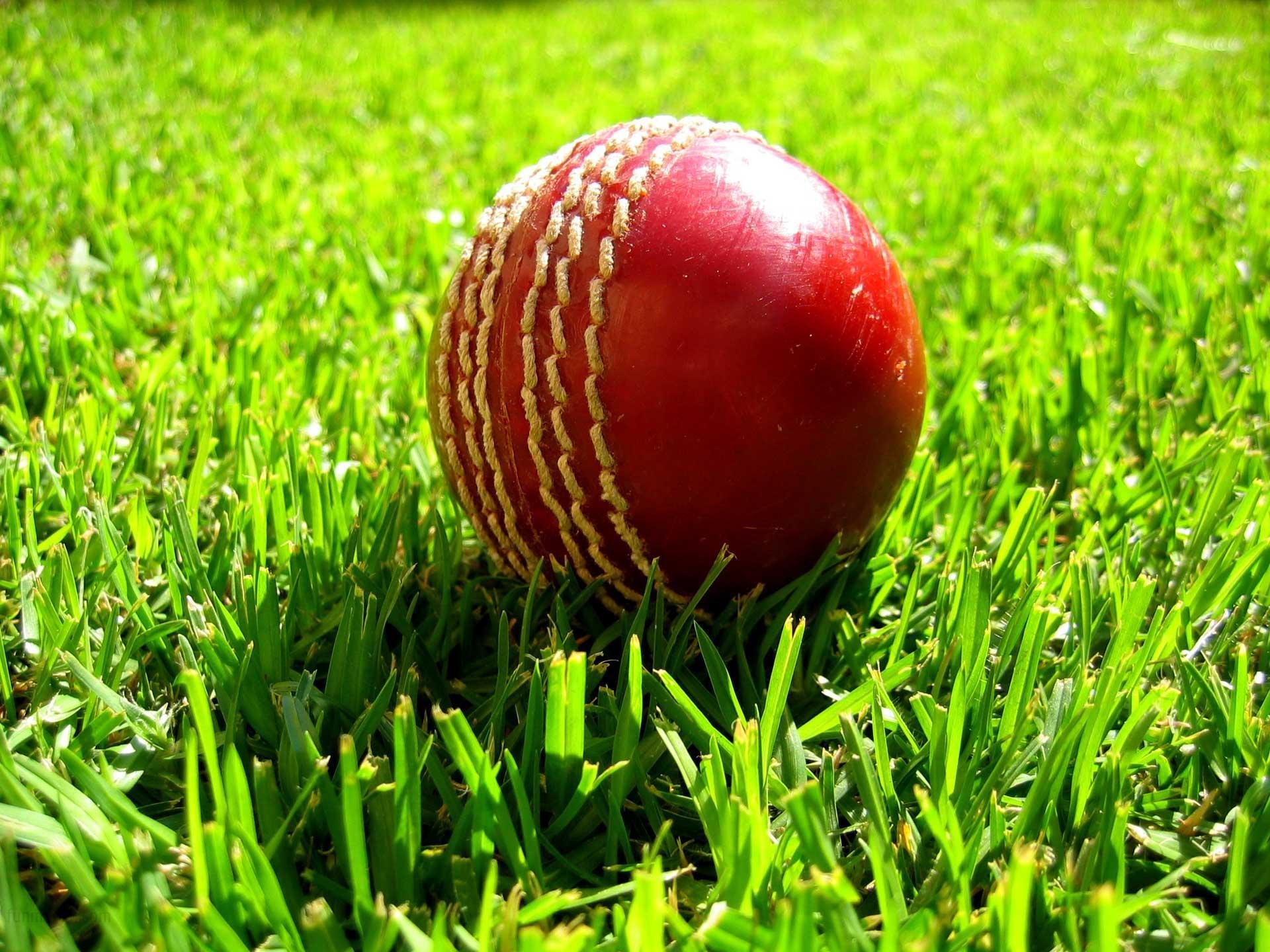 Free Download Cricket Wallpaper Id - Cricket Ball On Grass - 1920x1440 Wallpaper Free Download Cricket Wallpaper Id - Cricket Ball On Grass - 1920x1440 Wallpaper