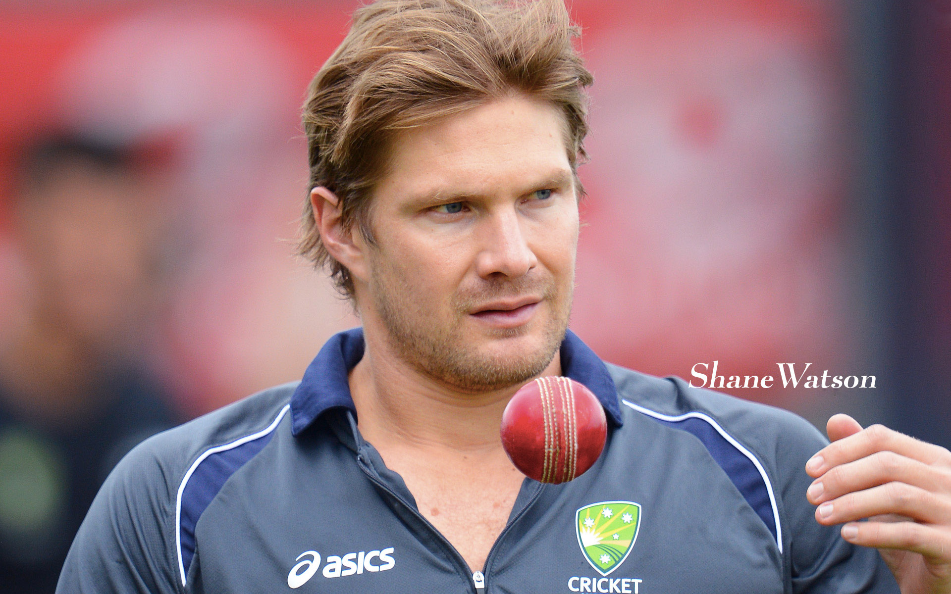 Cricket Hd Wallpapers Widescreen - Shane Watson Photos Hd - 1920x1200 Wallpaper Cricket Hd Wallpapers Widescreen - Shane Watson Photos Hd - 1920x1200 Wallpaper