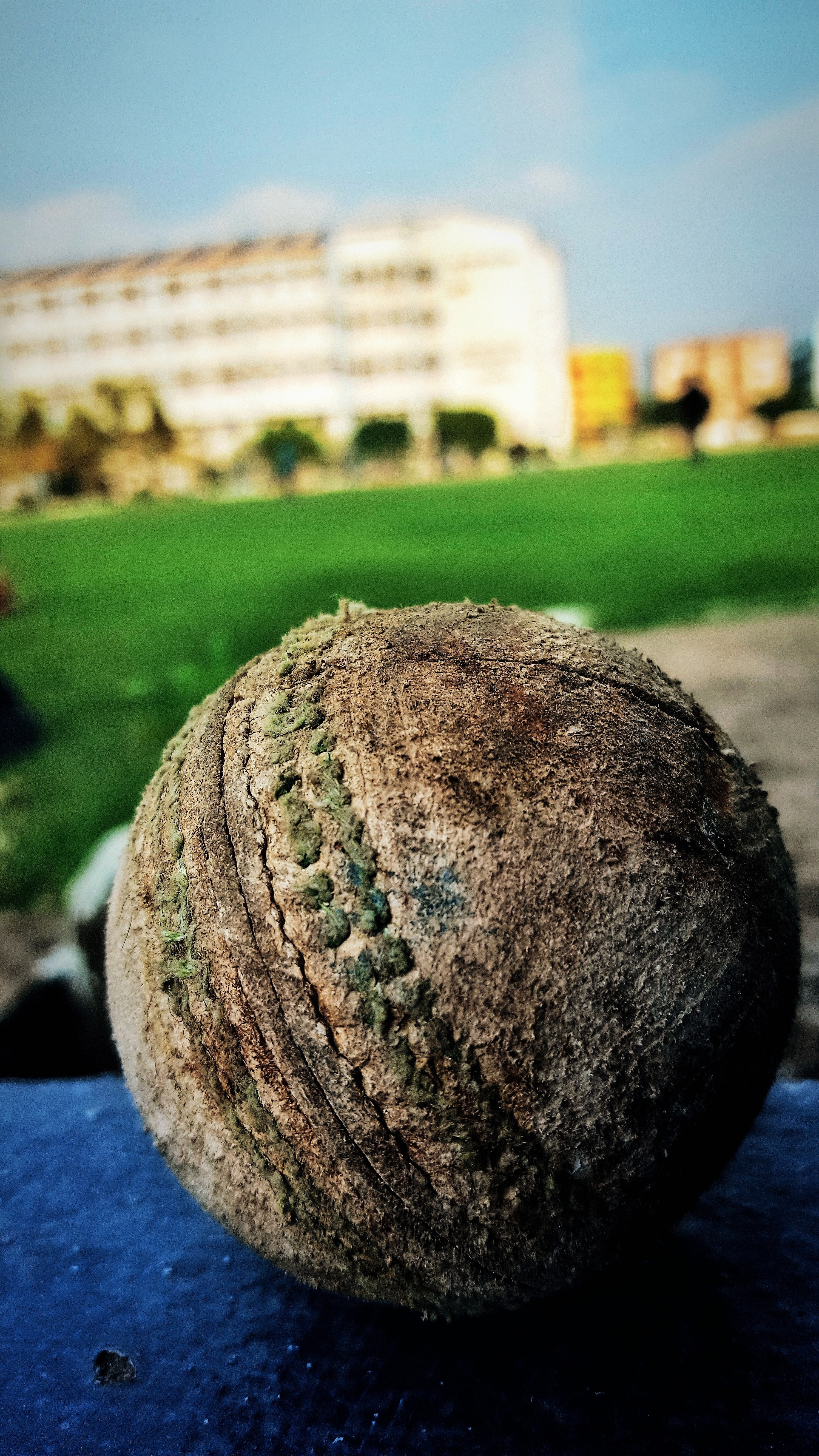 Cricket - HD Wallpaper 