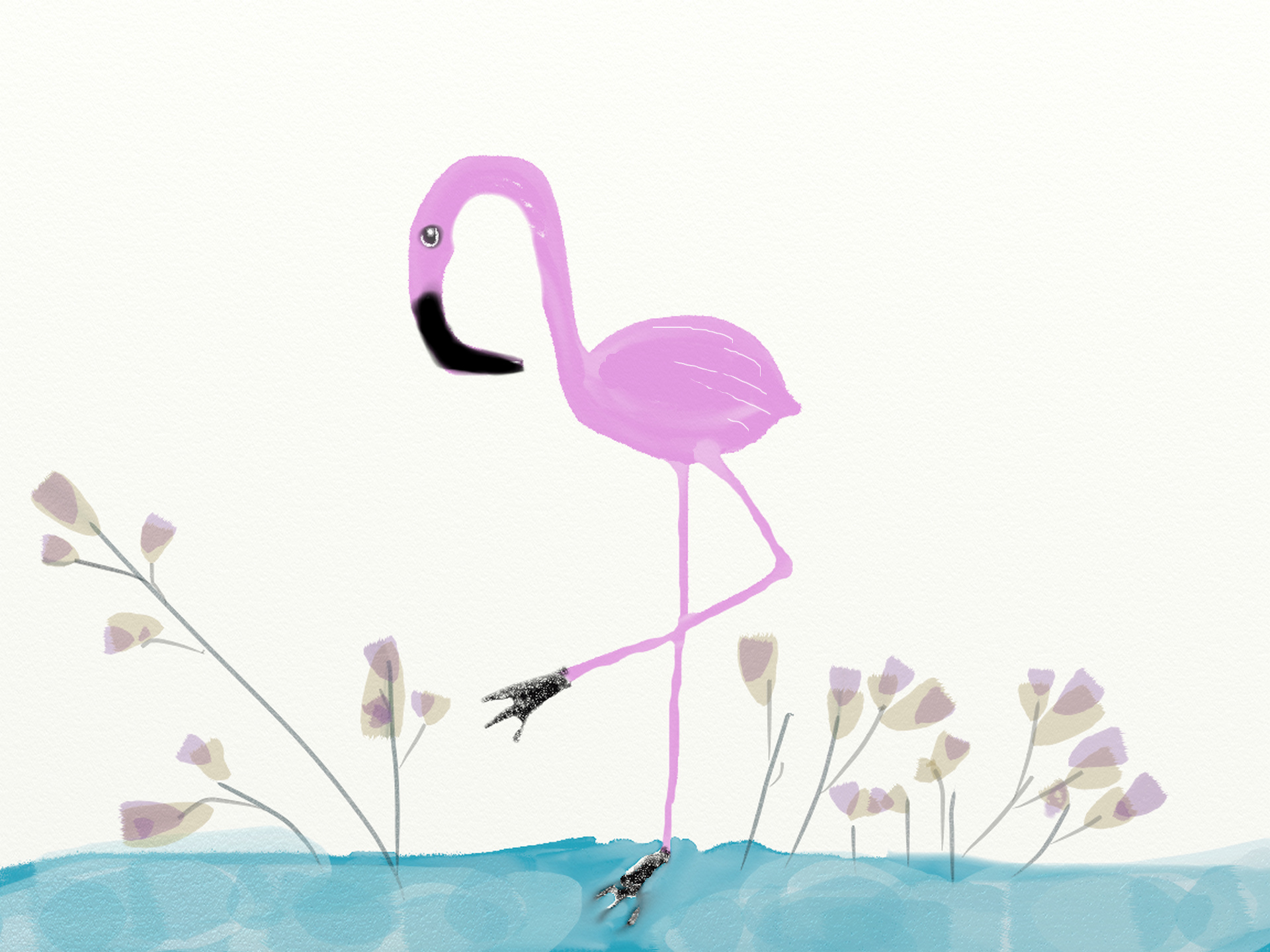 Greater Flamingo - HD Wallpaper 