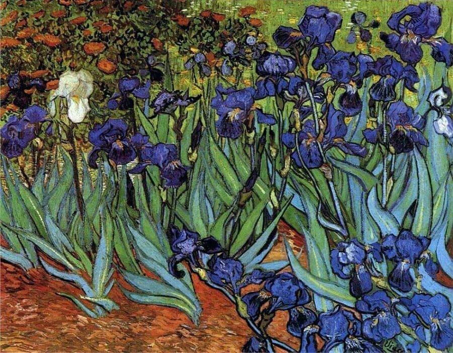 Irises, 1889 By Vincent Van Gogh - HD Wallpaper 