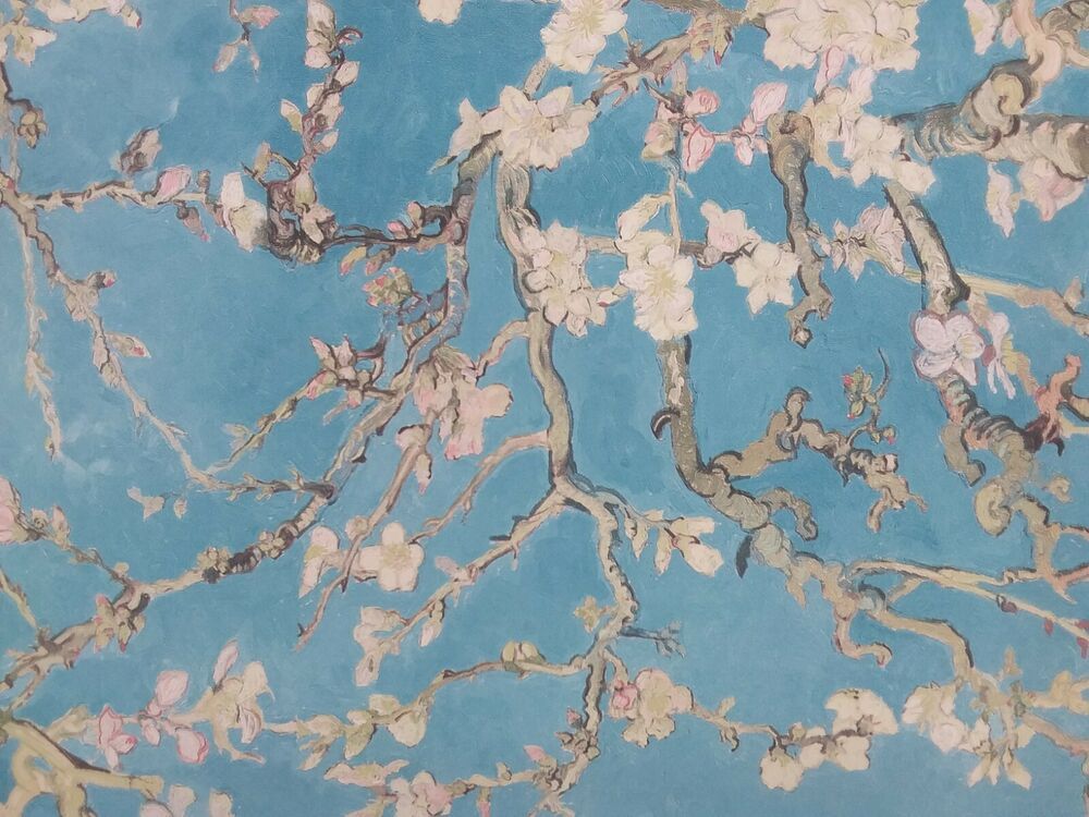 Van Gogh Almond Blossom - 1000x750 Wallpaper 