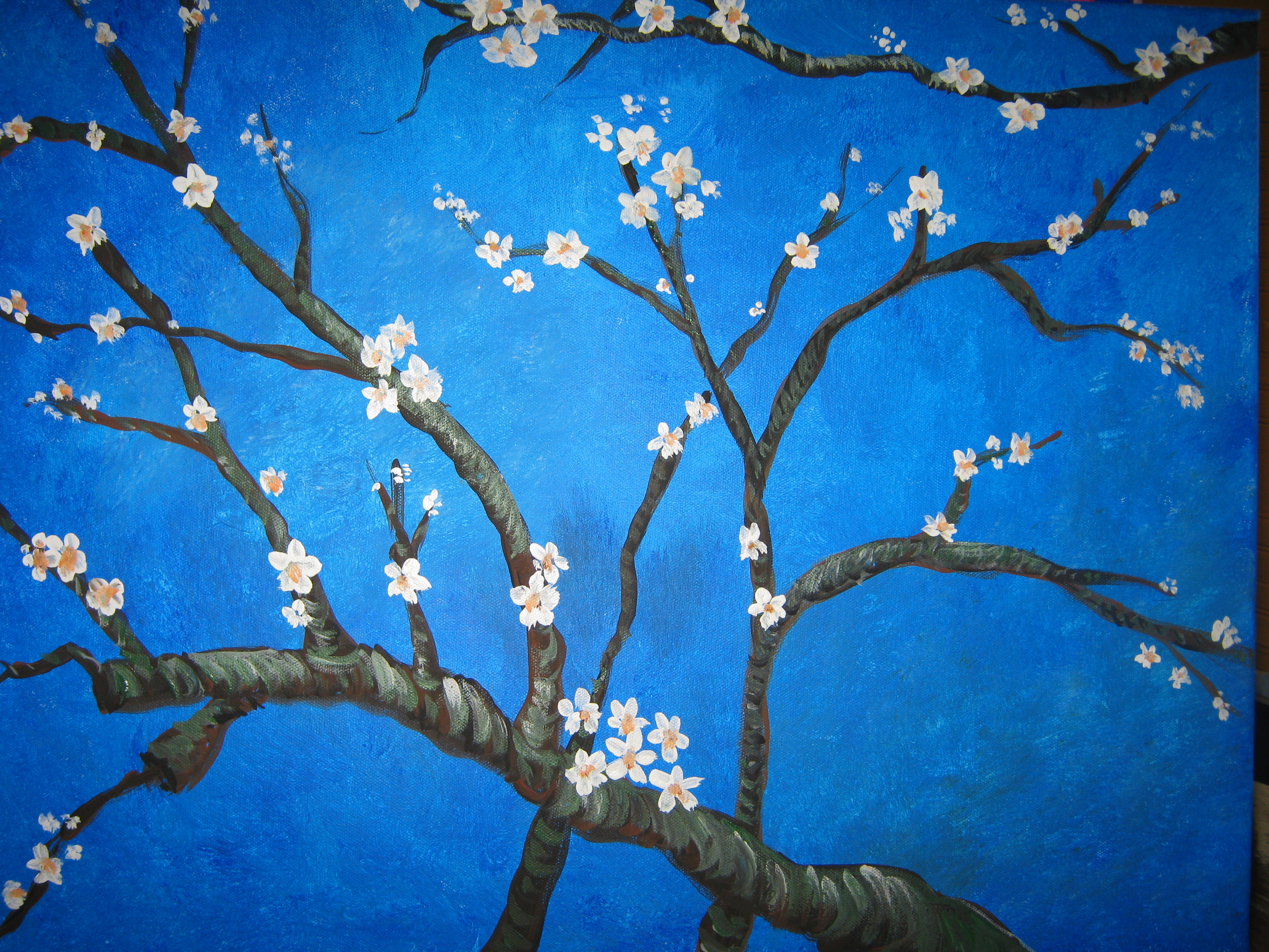 Plane-tree Family - HD Wallpaper 