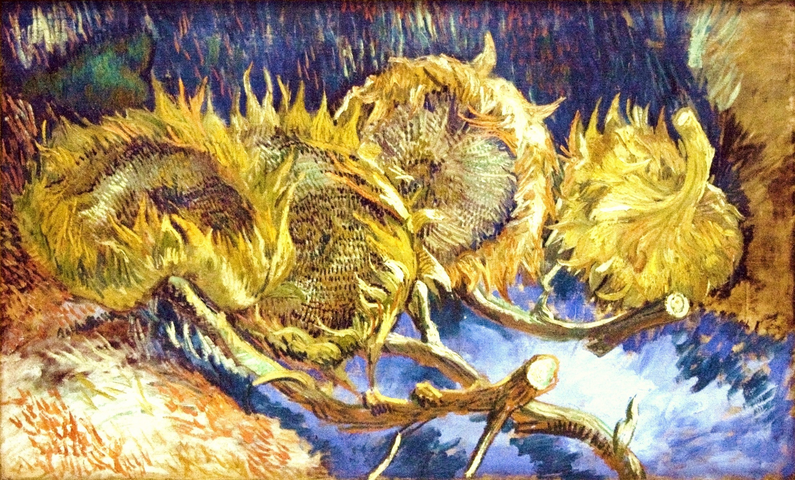 Van Gogh Sunflowers Hd Wallpaper 
 Data-src /w/full/1/9/4/369841 - Four Sunflowers Van Gogh - HD Wallpaper 