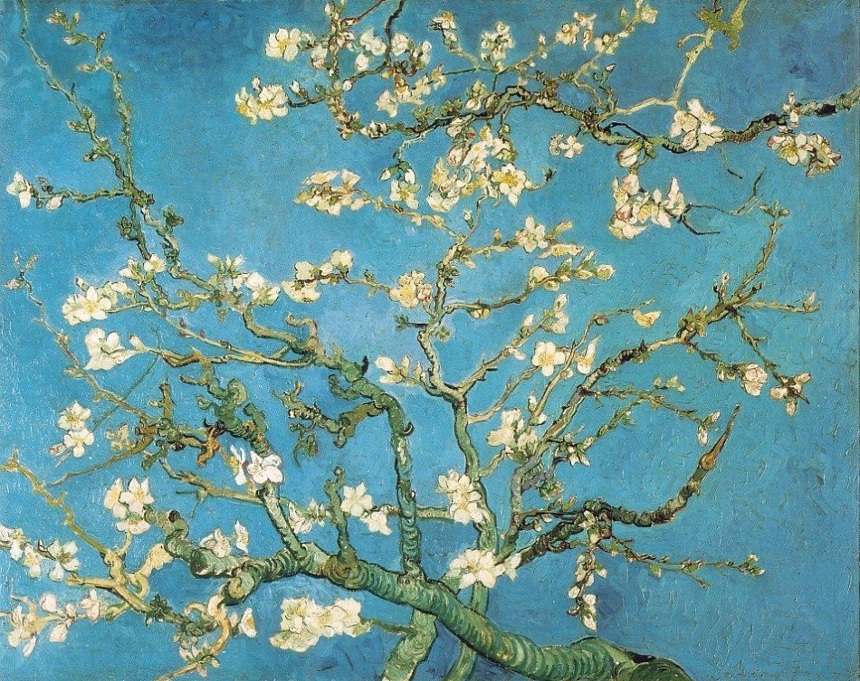 Van Gogh Almond Blossom Wallpaper Hd - HD Wallpaper 