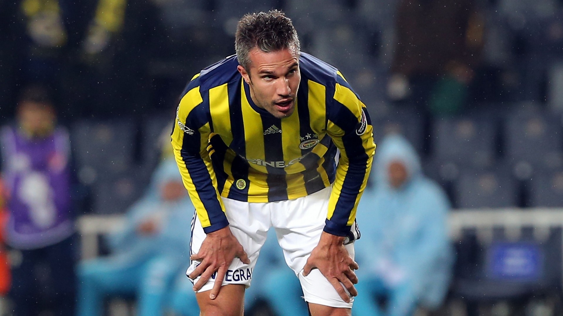 Robin Van Persie Fenerbahce 
 Data Src Robin Van Persie - Dusko Tosic Wife - HD Wallpaper 