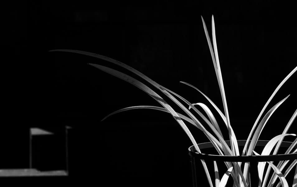 Black And White Wallpaper - HD Wallpaper 