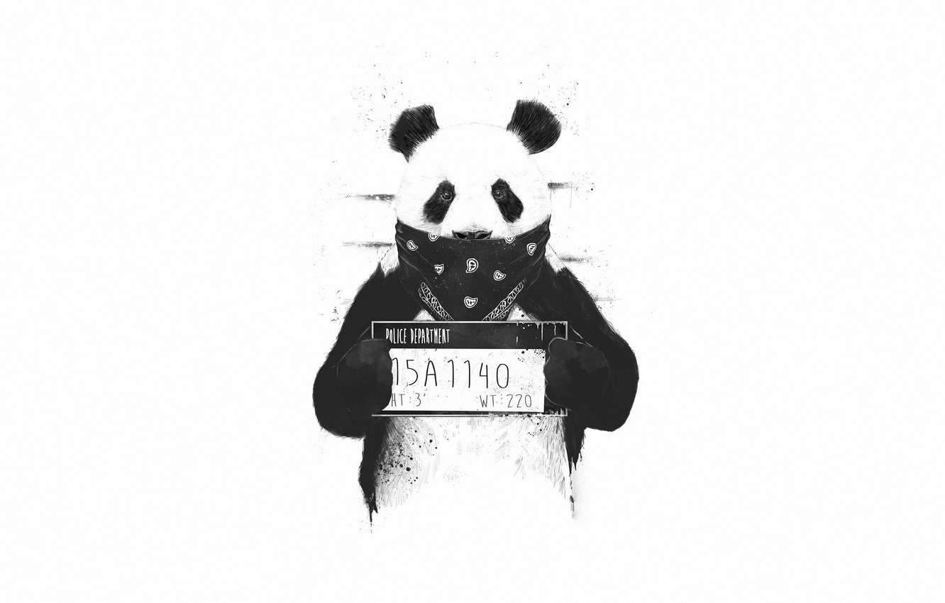 Photo Wallpaper Minimalism, Panda, Style, Background, - Funny Panda Art -  1332x850 Wallpaper 
