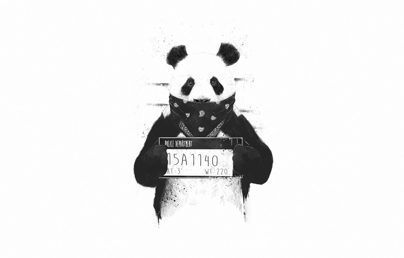 Photo Wallpaper Minimalism, Panda, Style, Background, - Funny Panda Art - 1332x850 Wallpaper Photo Wallpaper Minimalism, Panda, Style, Background, - Funny Panda Art - 1332x850 Wallpaper