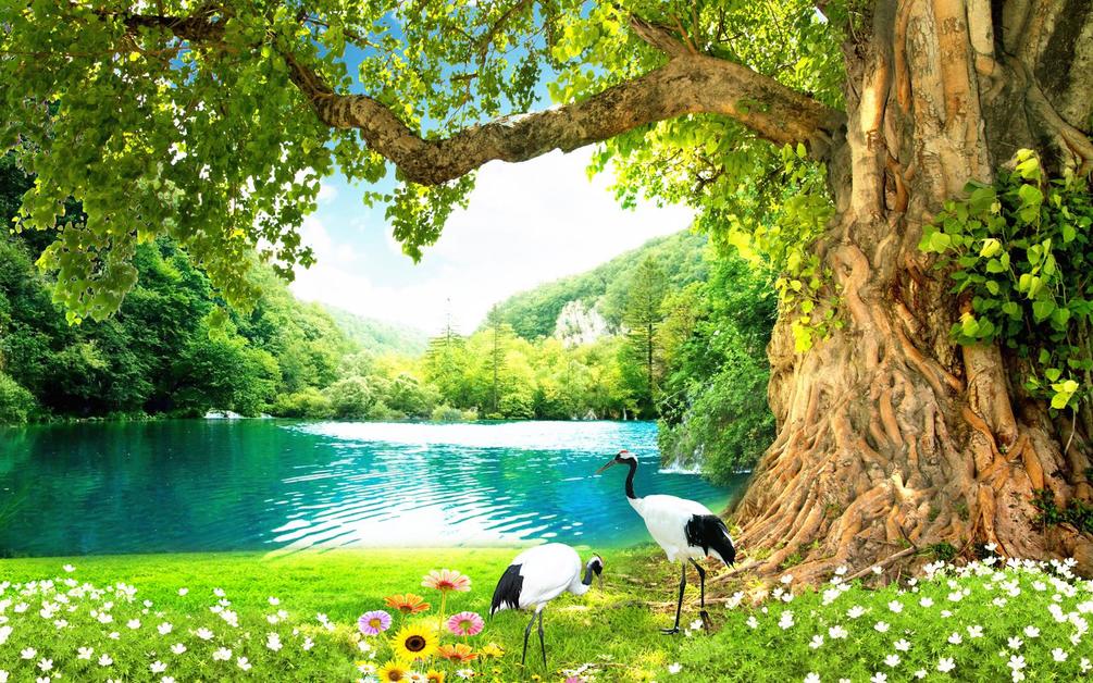 Wall Mural Natural Landscape, Nature And Green - Outdoor Background For Photoshoot - HD Wallpaper 