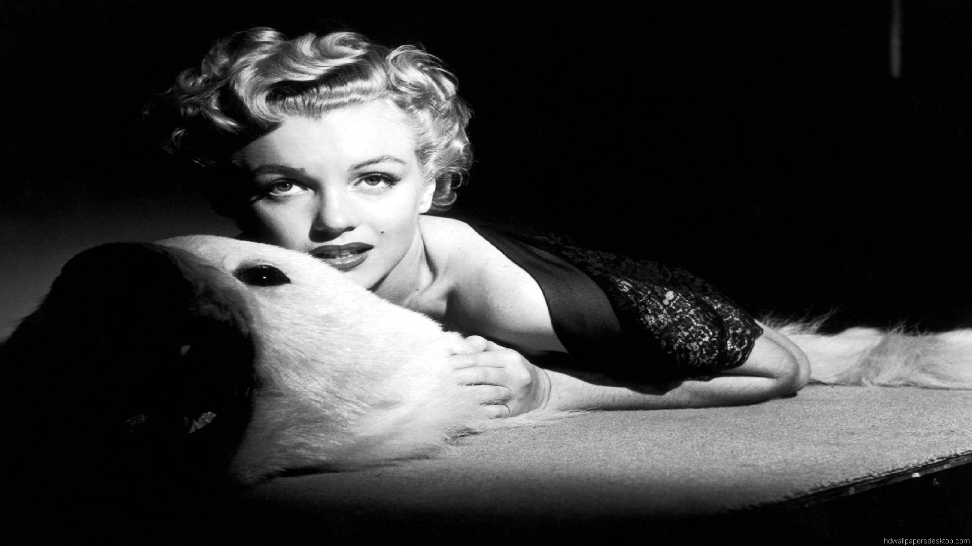 Marilyn Monroe Wallpapers, Hd, Photos, Photography - Madonna's Death - HD Wallpaper 