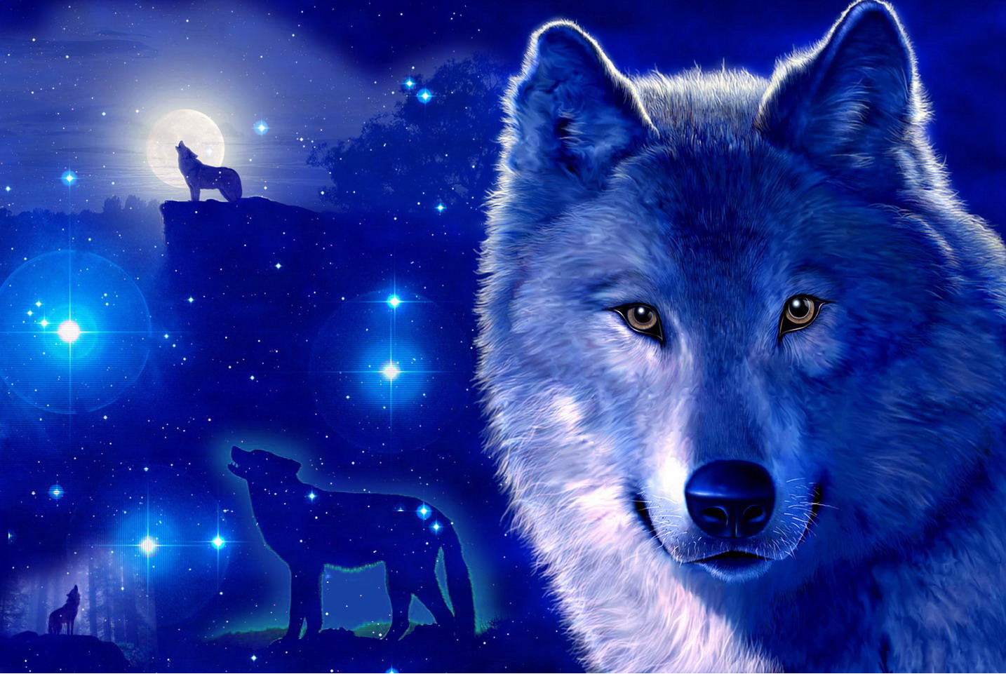 Blue Wolf Face Hd - HD Wallpaper 
