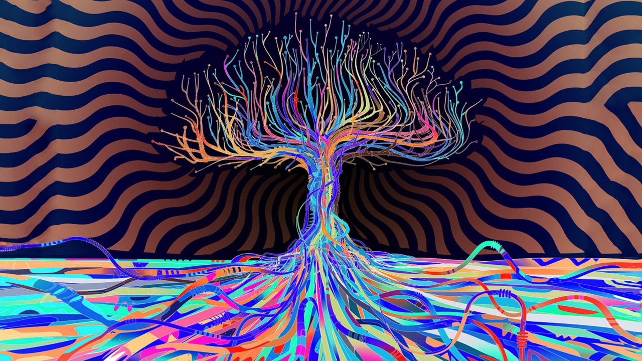 Colorful Tree Dark Wallpapers - Psychedelic 4k - HD Wallpaper 