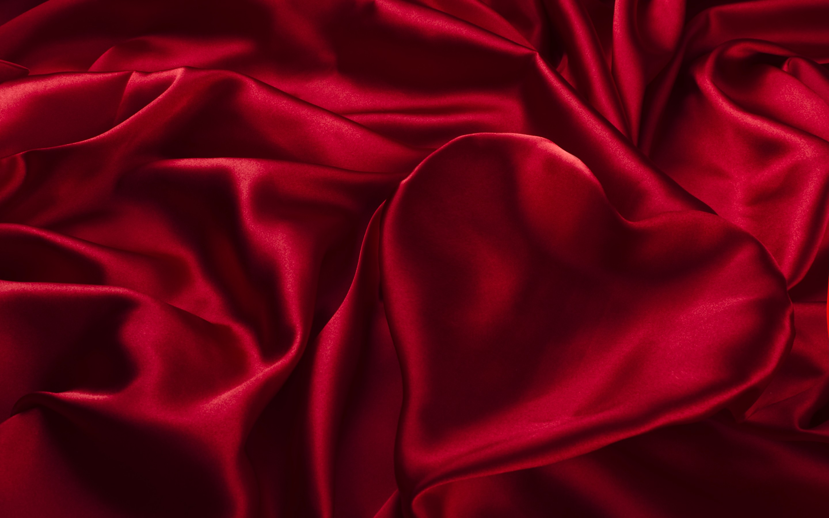 40001785 Adorable Rot Images Hd, Px - HD Wallpaper 
