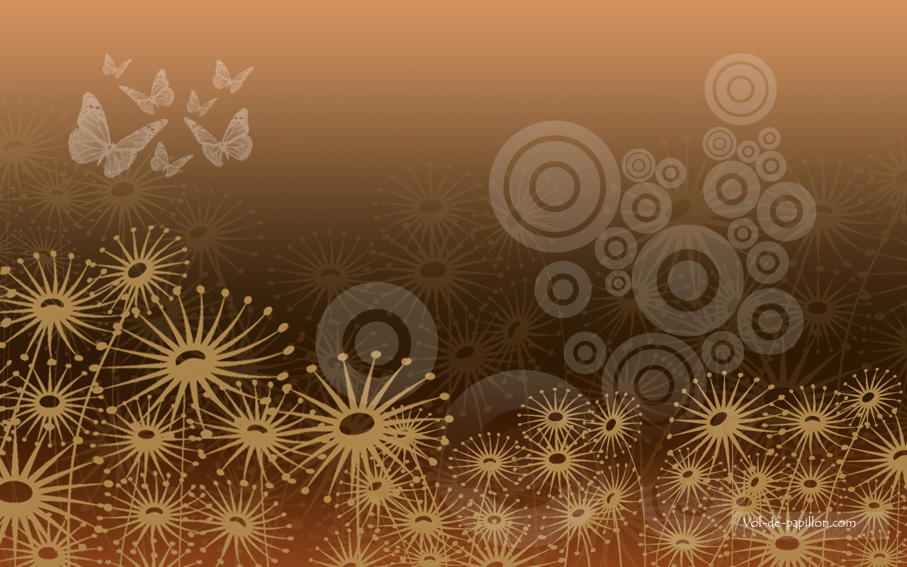 Wallpaper Marron N°1 - HD Wallpaper 