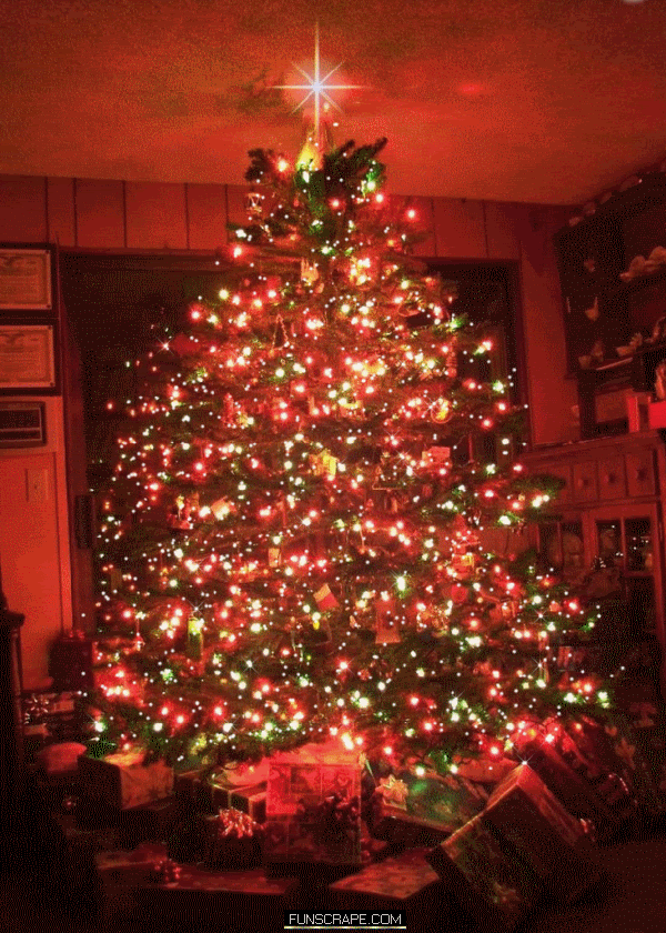 Beautiful Christmas Tree Gif - HD Wallpaper 