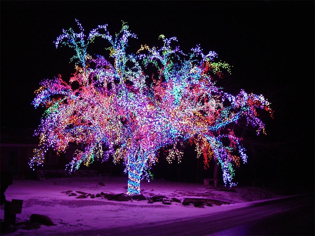 10p 7890 Arbol De Navidad - Magic Tree Christmas Lights - HD Wallpaper 