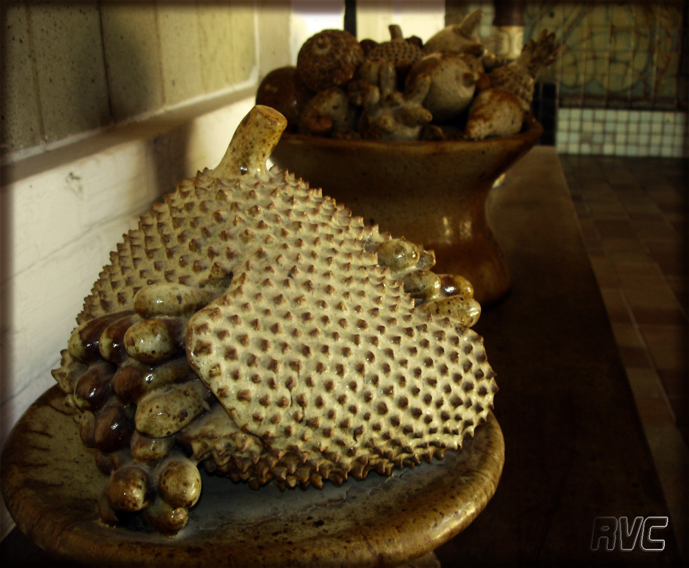 Mushroom - HD Wallpaper 