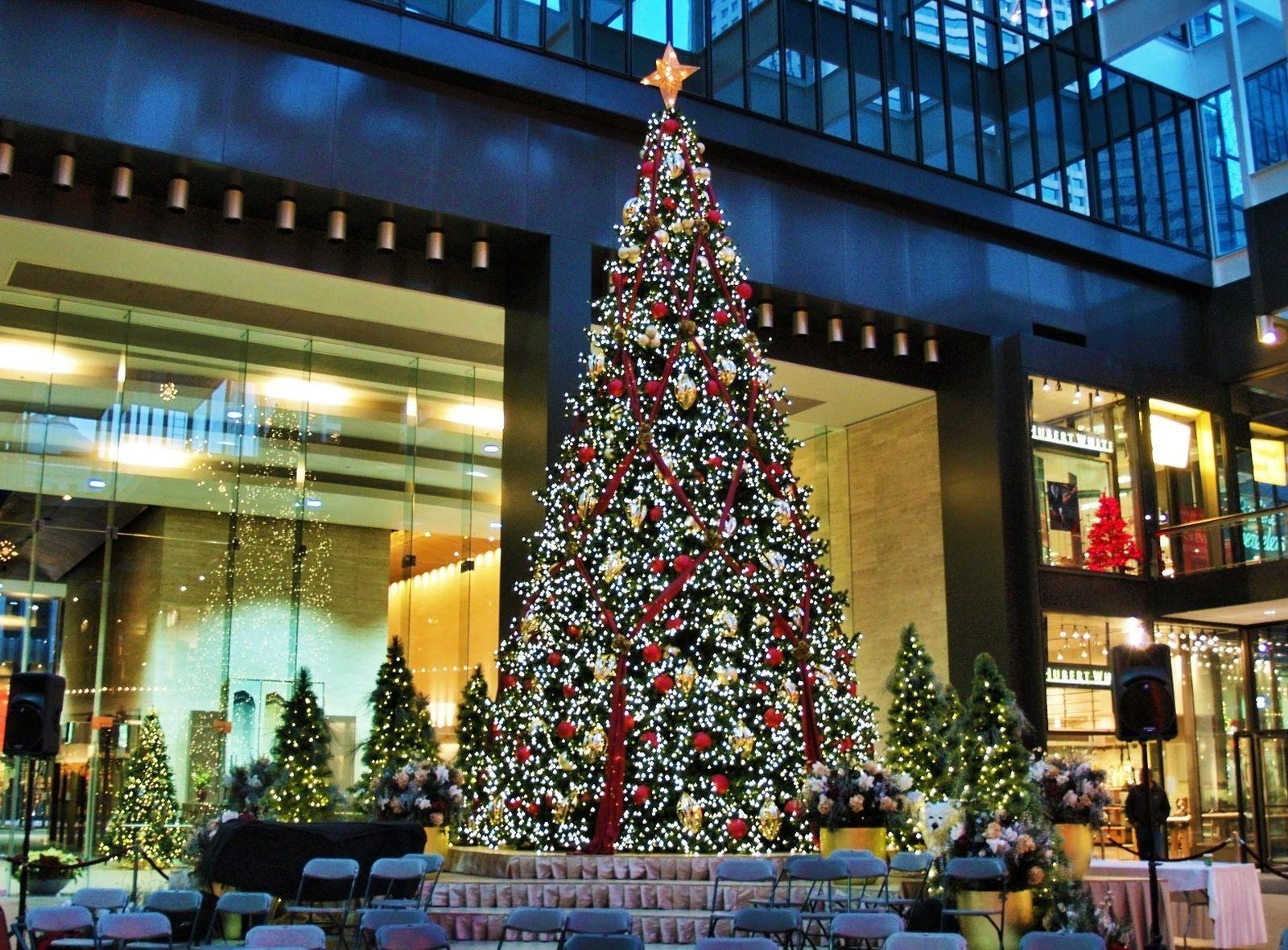Wallpaper Tree, Christmas, Holiday, Garland, Street - Christmas Tree For Night Time - HD Wallpaper 