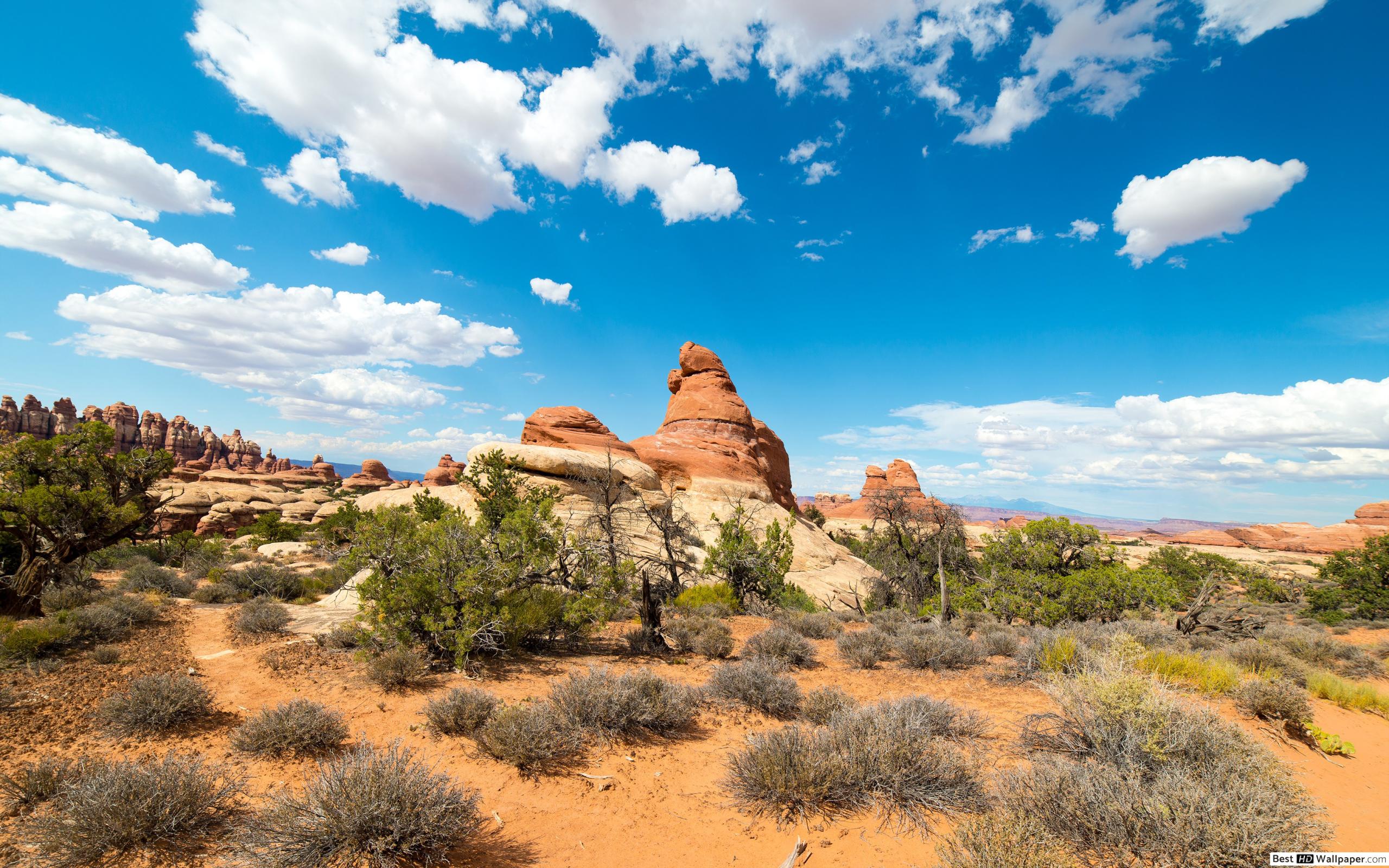 Wallpaper - HD Wallpaper 