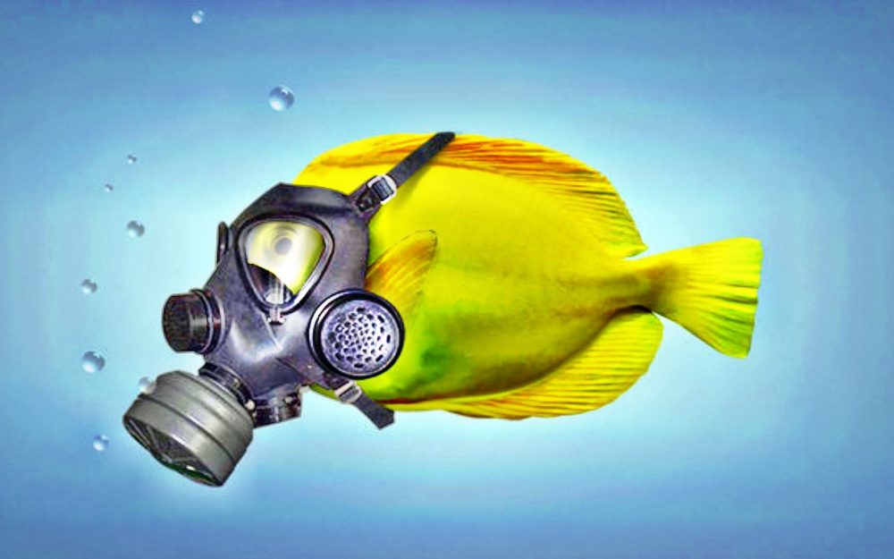 Global Warming Facebook Cover - HD Wallpaper 