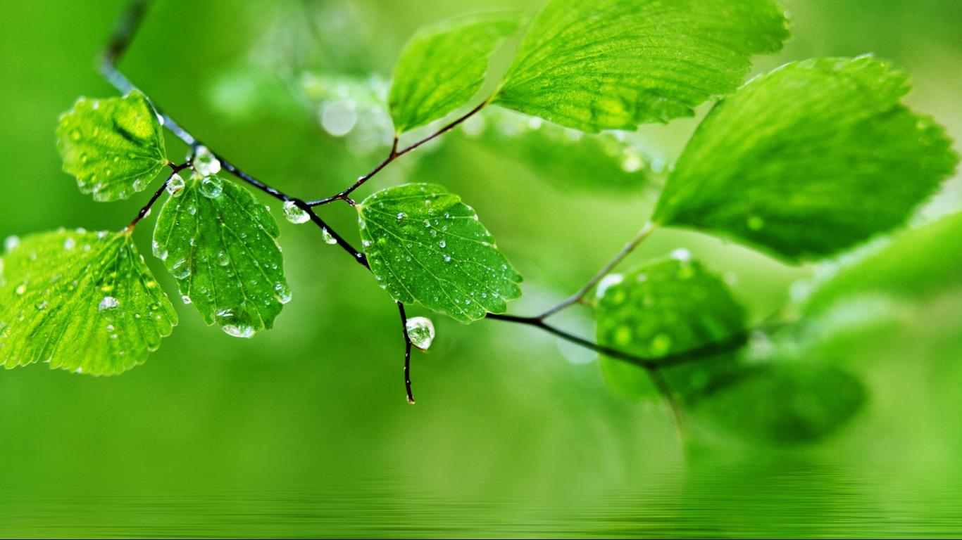 Nature Rain Wallpaper 4k - HD Wallpaper 