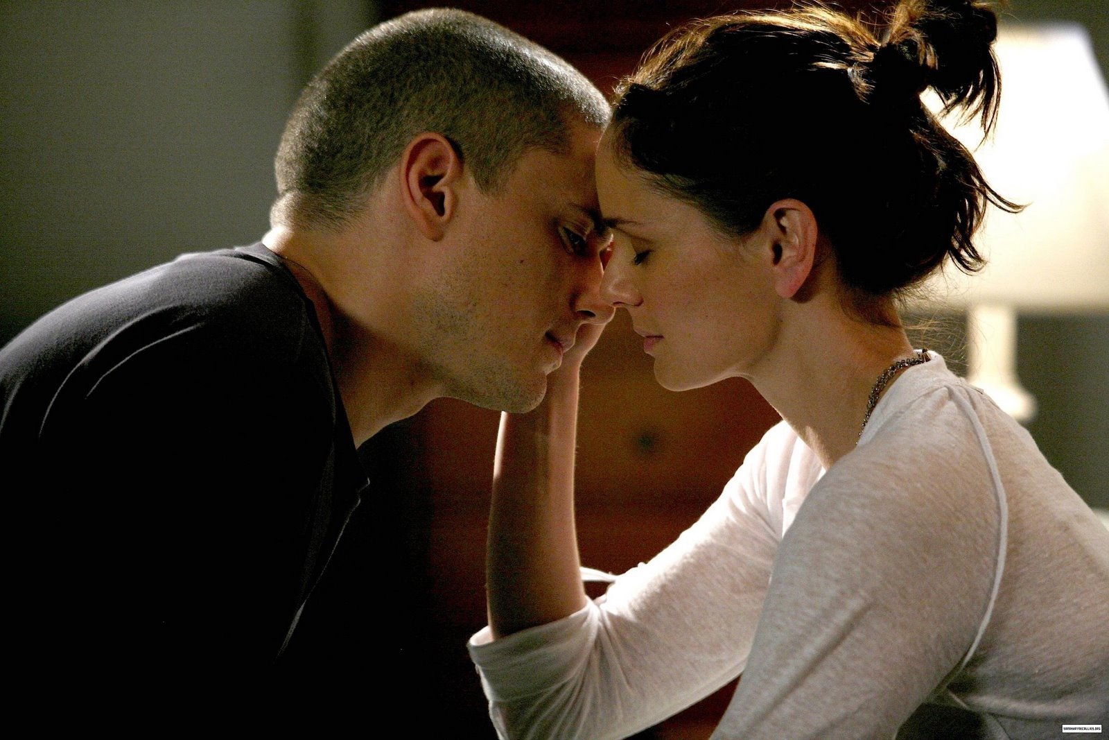 Sarah And Michael Scofield - HD Wallpaper 