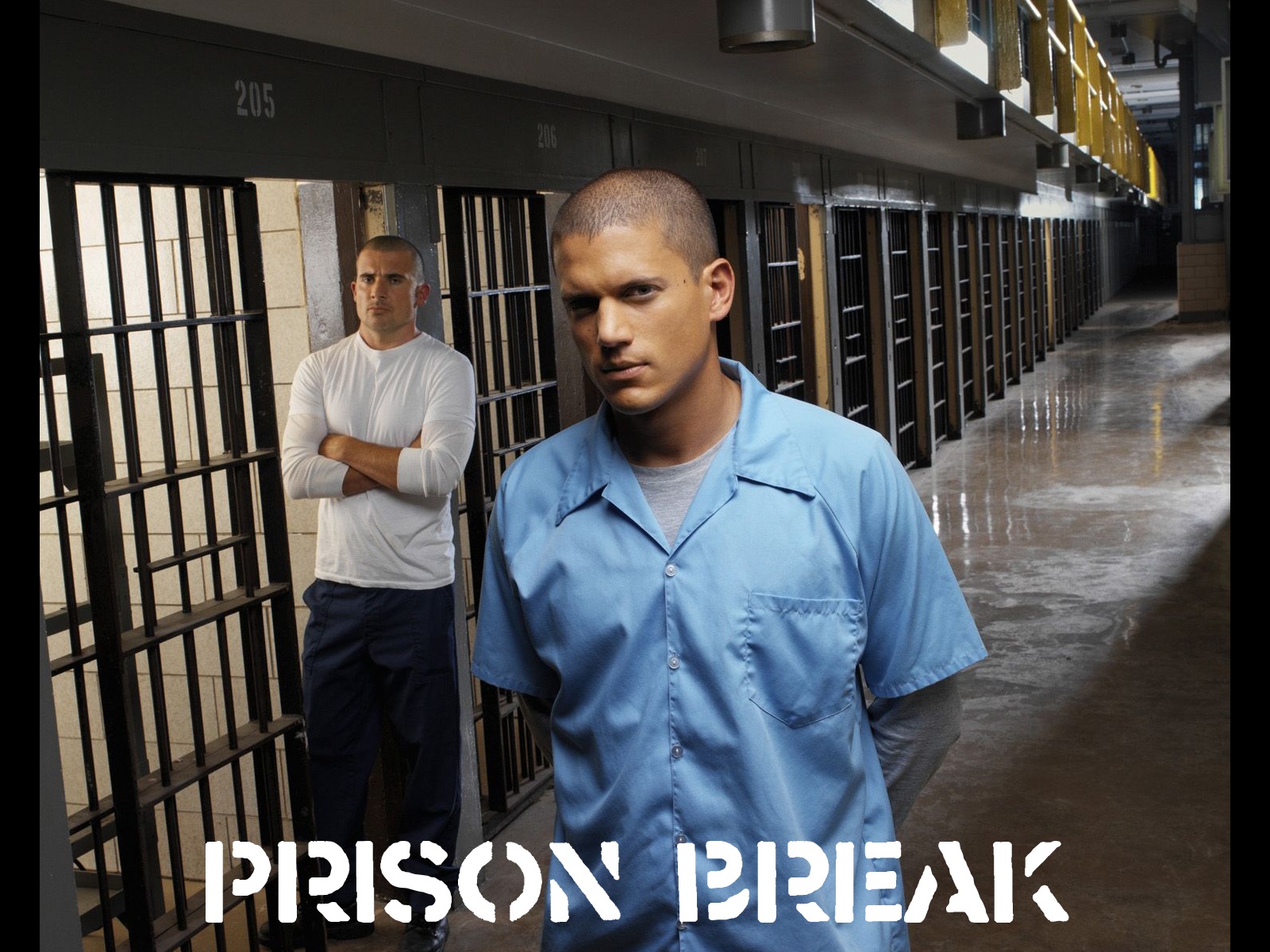 Wallpaper Prison Break - Prison Break Michael Scofield - HD Wallpaper 