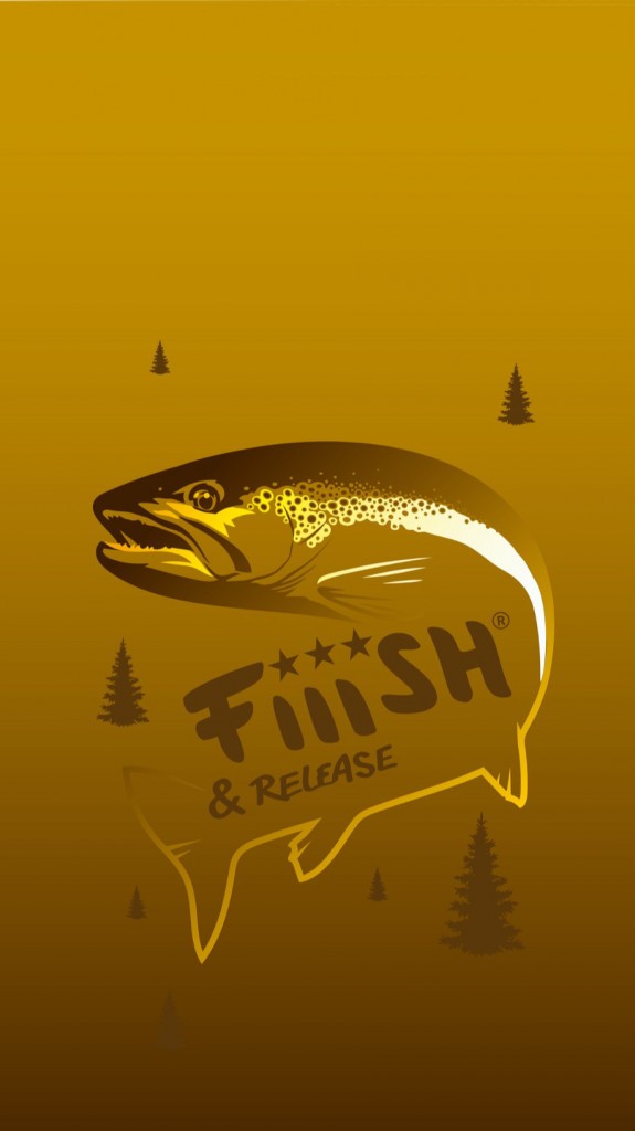 Fond D Écran Peche - HD Wallpaper 