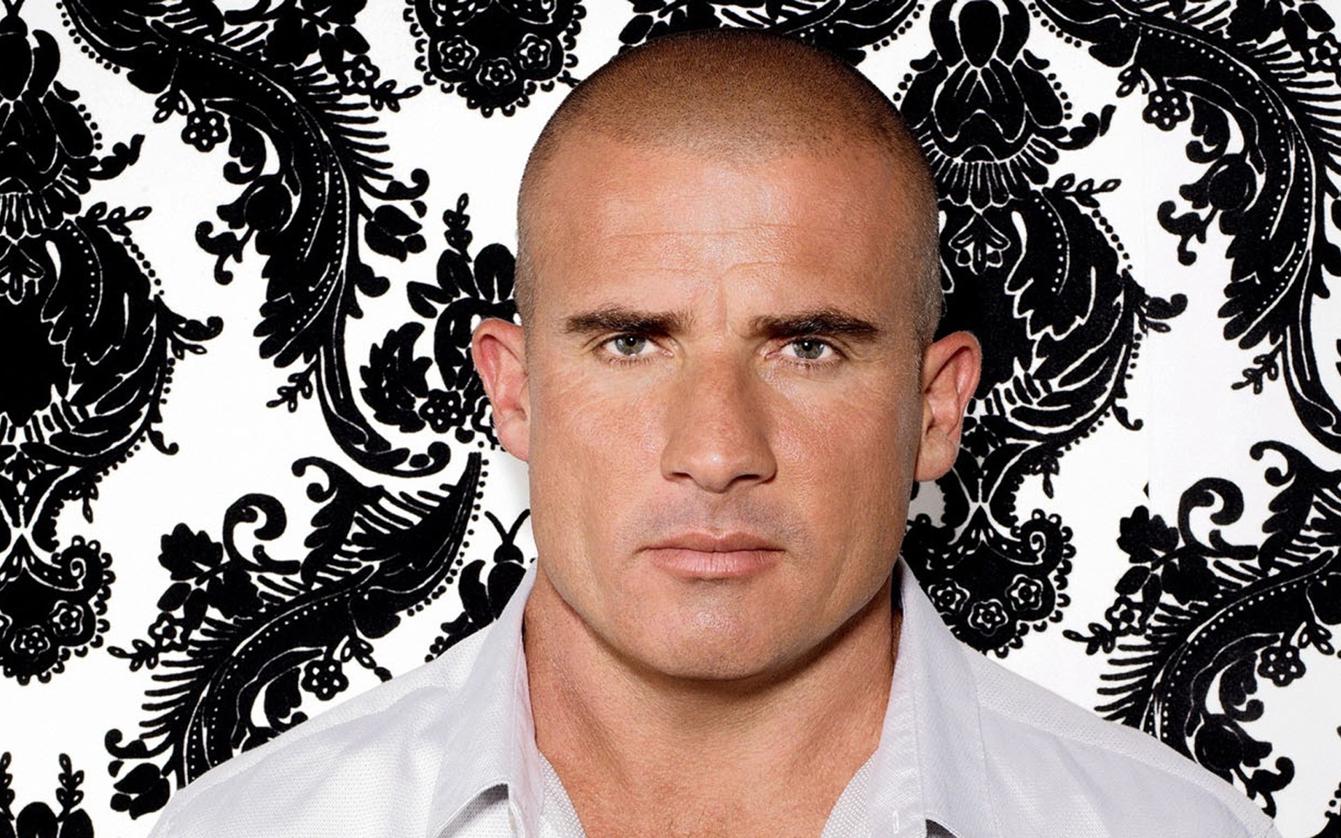 Men Man Portrait Adult Prison Break Serious Actor - Guys From Prison Break - HD Wallpaper 