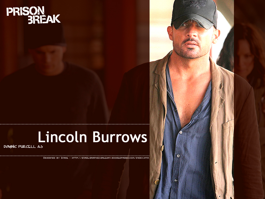 Sara Tancredi Lincoln Burrows - HD Wallpaper 