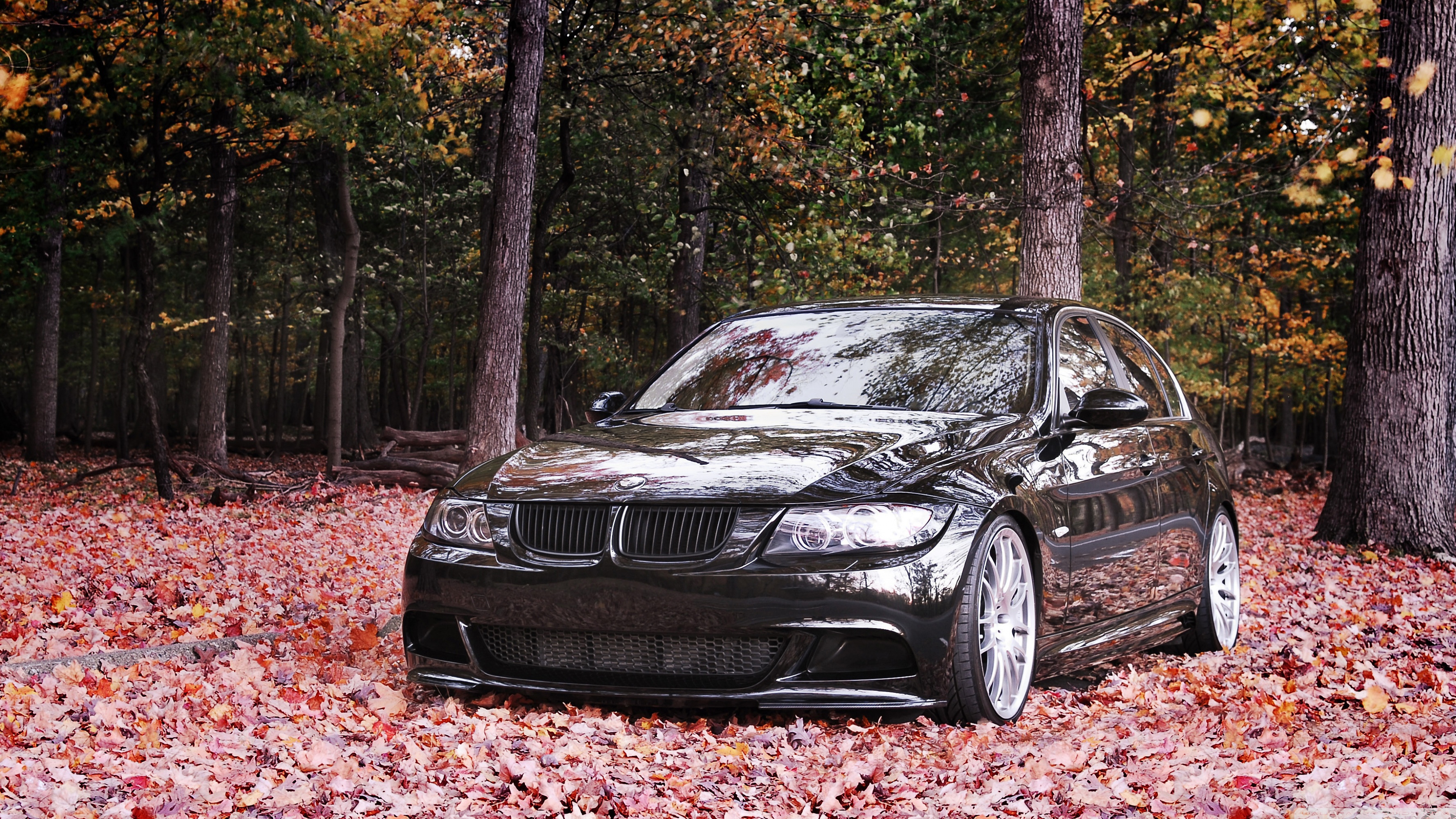 Mobile Phone - HD Wallpaper 