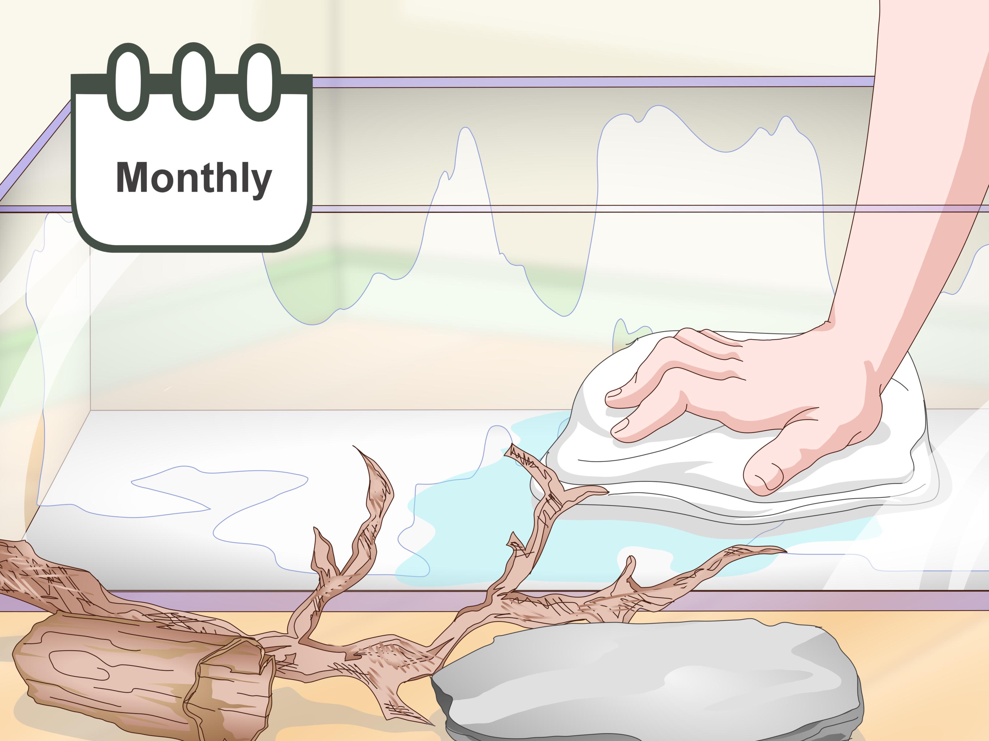 Image Titled Set Up A Pacman Frog Enclosure Step - Pacman Frog Water - HD Wallpaper 