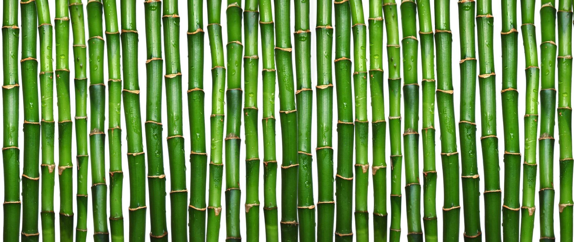 Bamboo Tree Bamboo Texture - HD Wallpaper 